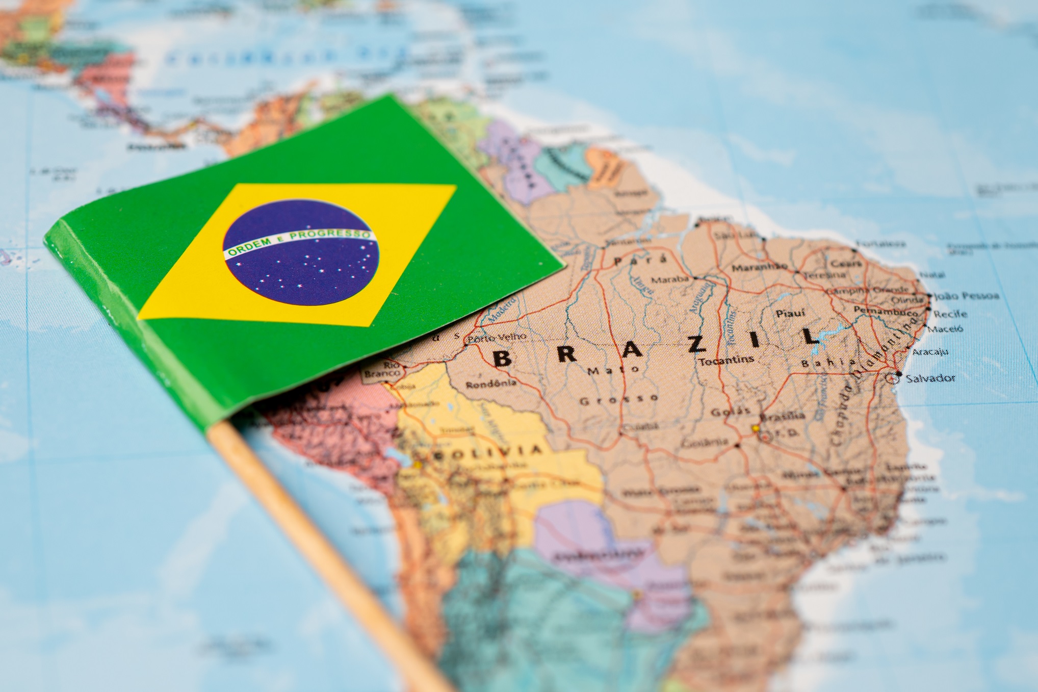 7 رموز وطنية للبرازيل