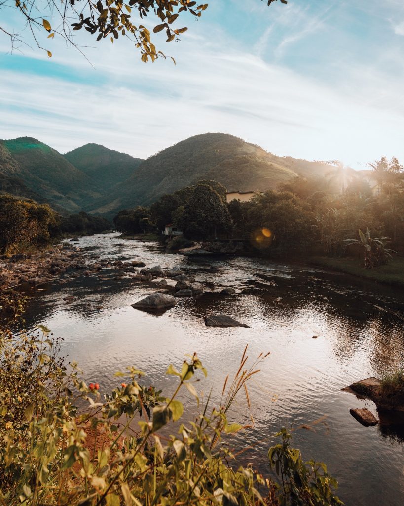 أسرار غموض غابات الأمازون المطيرة