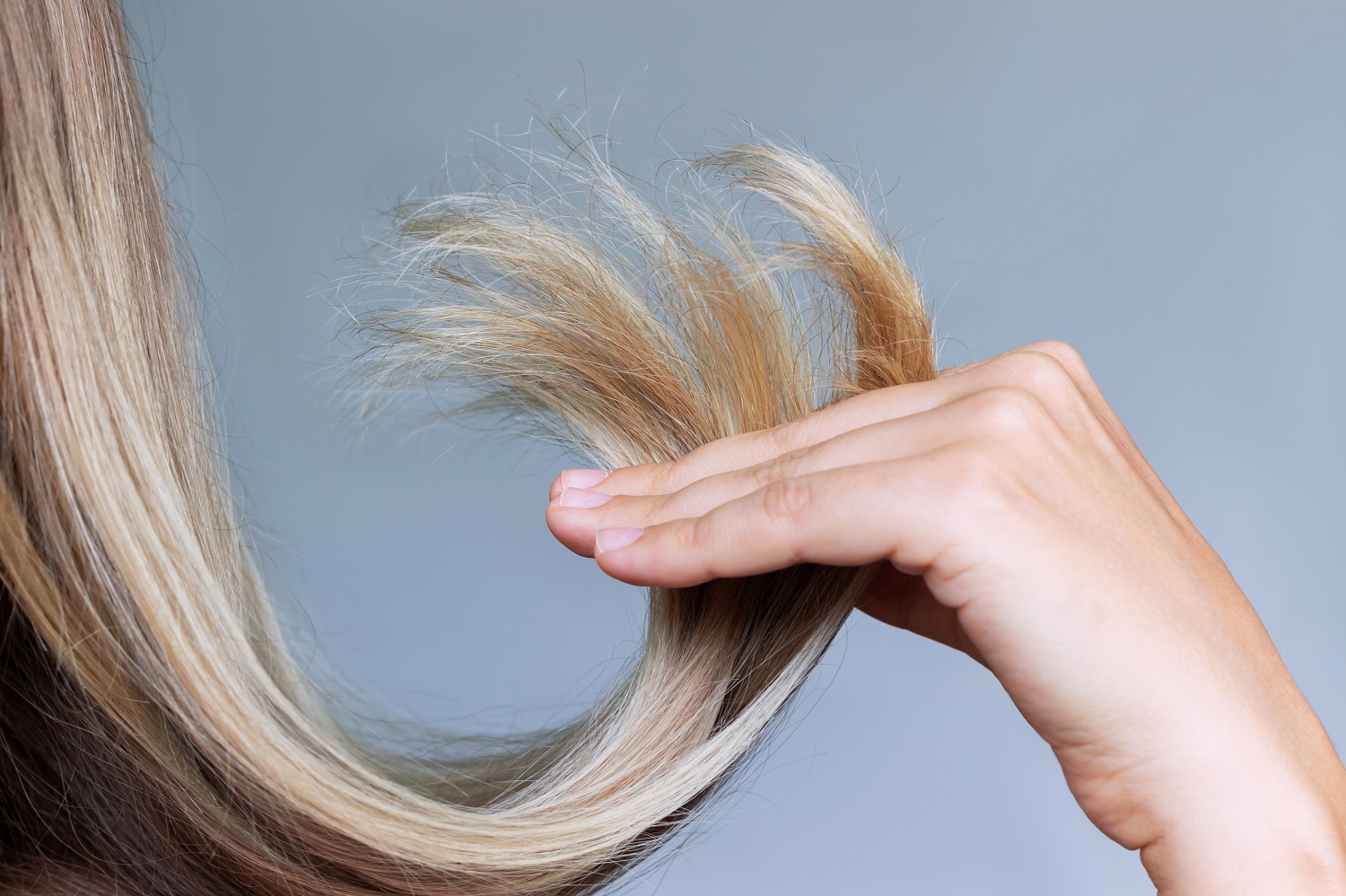 أسباب تقصف أطراف الشعر وطرق الوقاية