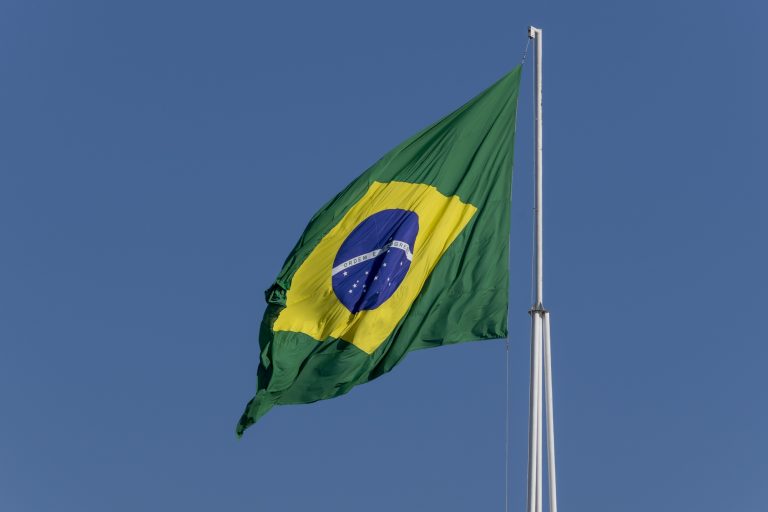 أكبر الشركات التجارية في البرازيل