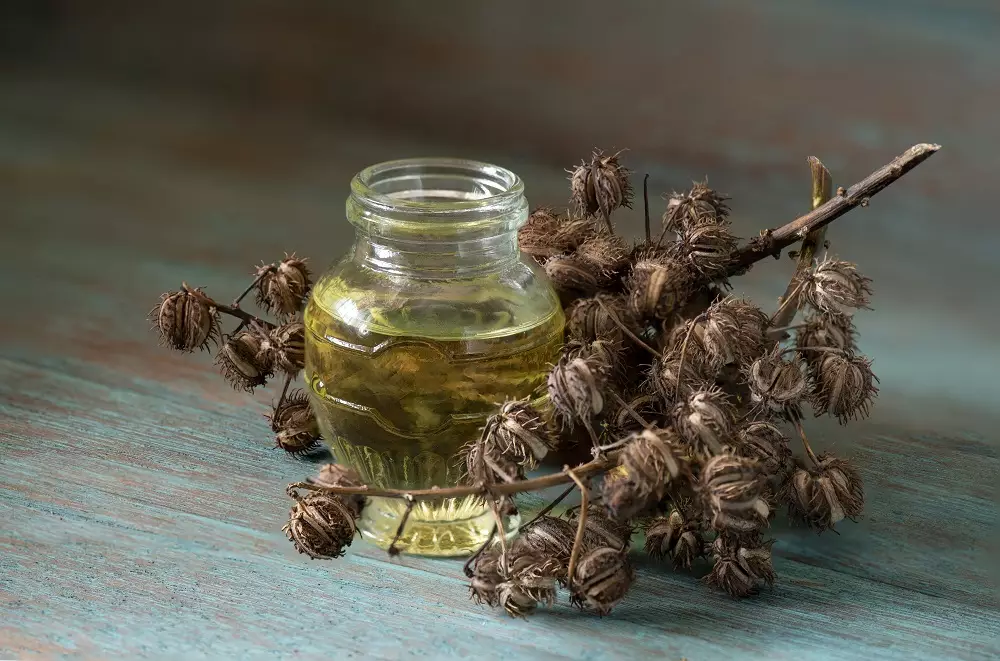 أضرار زيت الخروع للشعر