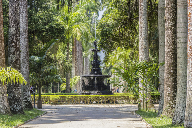 Rio Botanical Garden