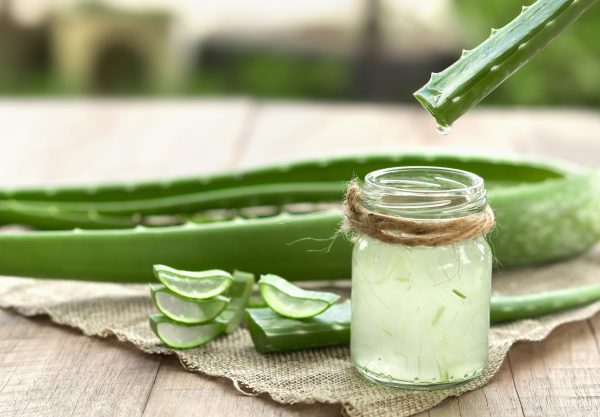 Aloe Vera for hair: what are the benefits?